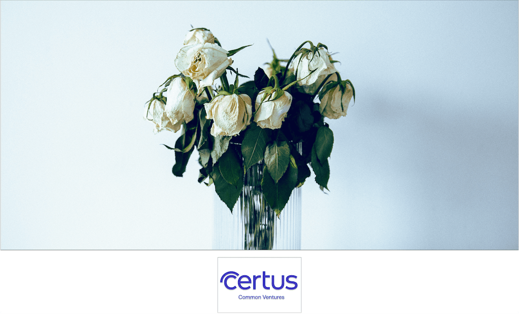 Why you need a Spanish will.png