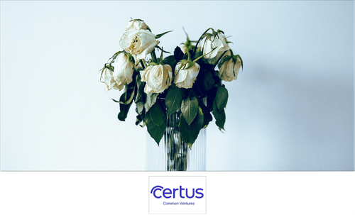 Why You Need a Spanish Will – How Inheritance Works in Spain intro